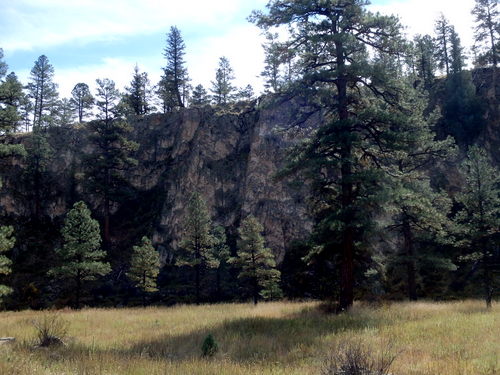 GDMBR: Pedaling north on NF-28, La Jolla Canyon, Gila NF, NM.